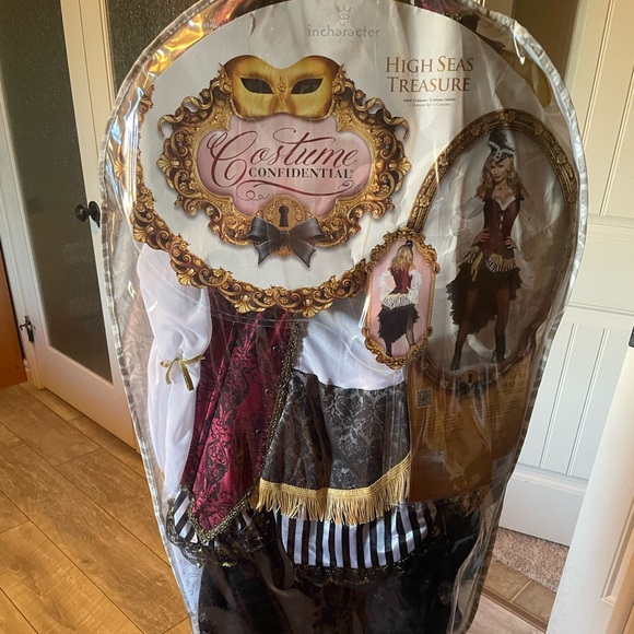 Adult High Sees Treasure Pirate Costume - Picture 10 of 14